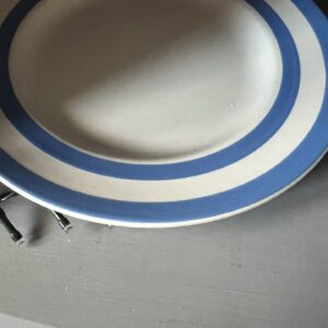 T G Green Blue & White Cornishware Plate 20cm