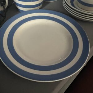 T G Green Blue & White Cornishware 23cm Plate