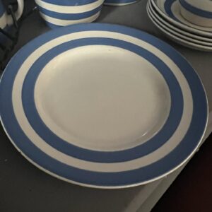 T G Green Blue & White Cornishware 26cm Plate
